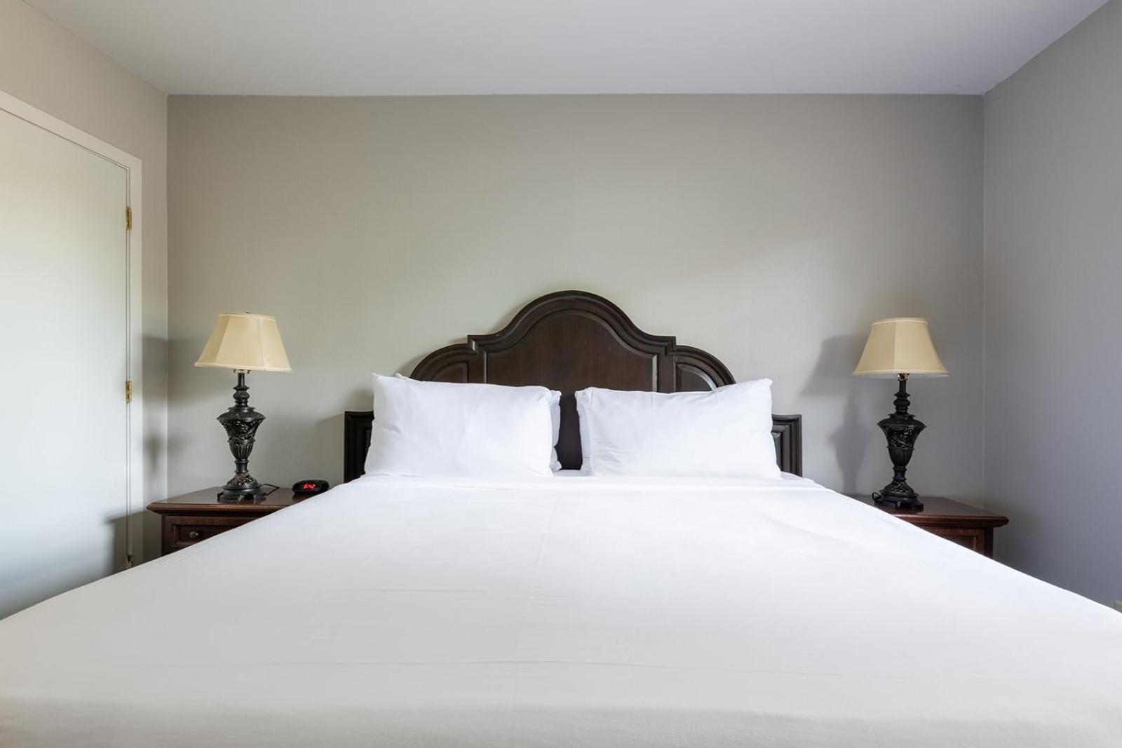 French Quarter Suites Hotel New Orleans Dış mekan fotoğraf