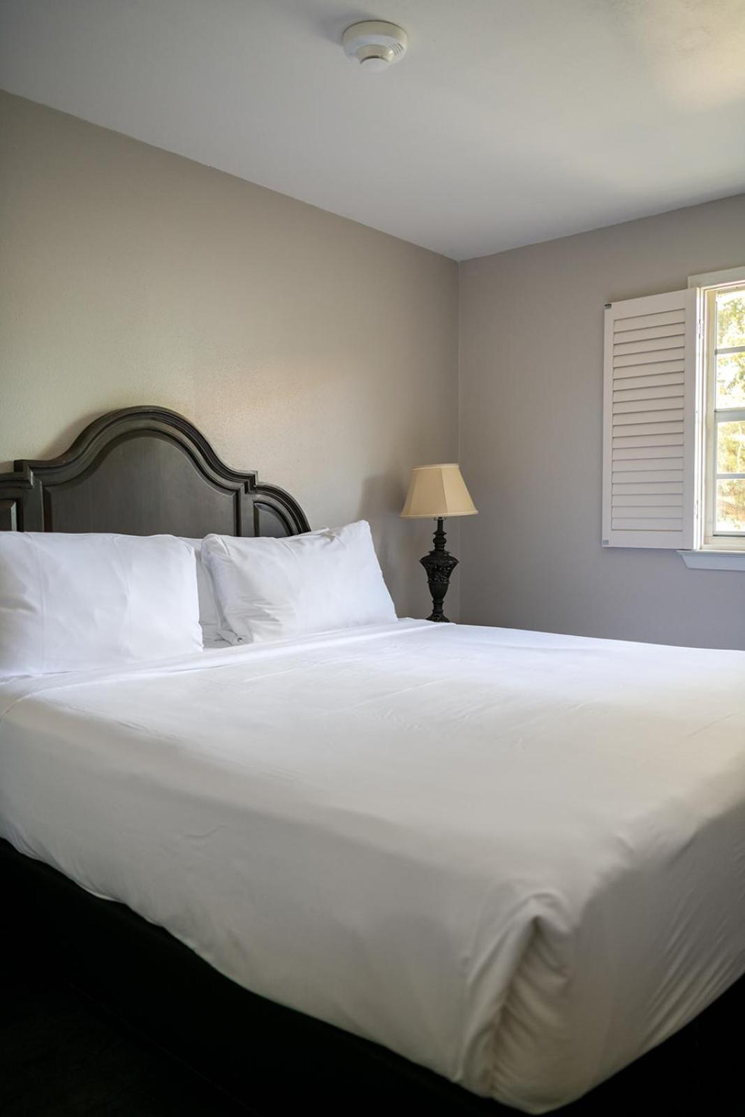 French Quarter Suites Hotel New Orleans Dış mekan fotoğraf